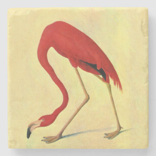 Audubon American Flamingo Painting Stenunderlägg
