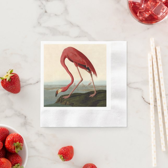 Audubon American Flamingo Pappersservett (Insitu)