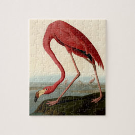 Audubon American Flamingo Pussel