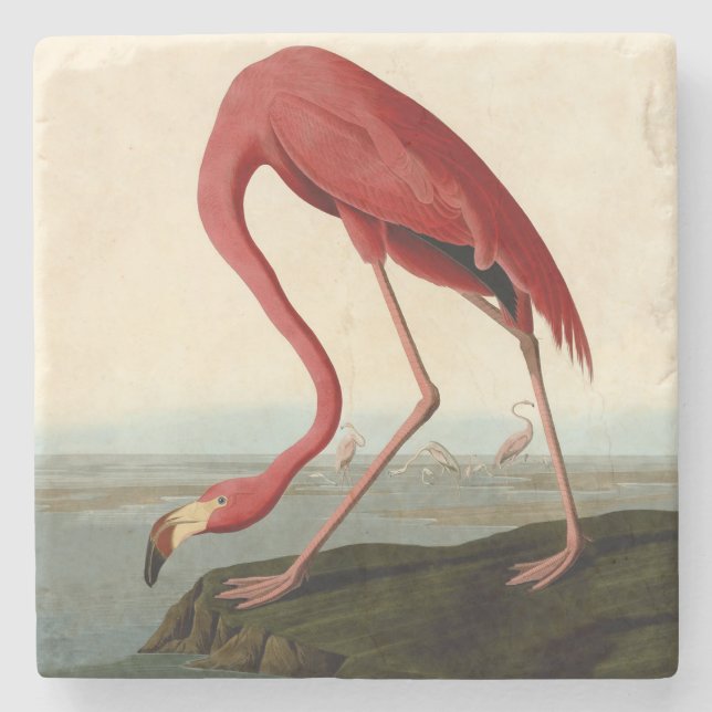 Audubon American Flamingo Stenunderlägg (Framsidan)