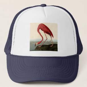 Audubon American Flamingo Truckerkeps