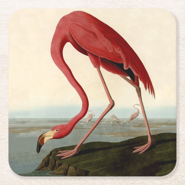 Audubon American Flamingo Underlägg Papper Kvadrat (Framsidan)