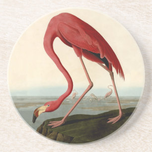 Audubon American Flamingo Underlägg Sandsten