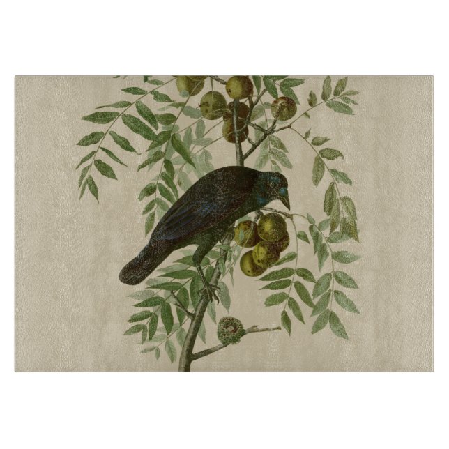 Audubon American Kråka Black Bird (Framsidan)