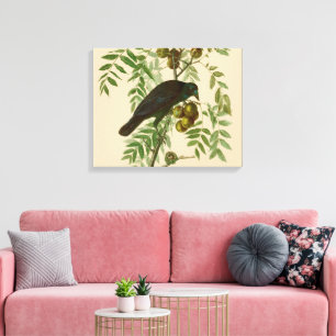 Audubon American Kråka Black Bird Canvastryck
