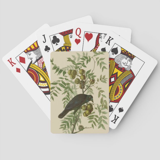 Audubon American Kråka Black Bird Casinokort (Baksidan)