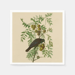Audubon American Kråka Black Bird Pappersservett