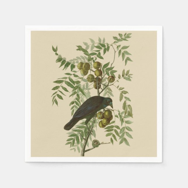 Audubon American Kråka Black Bird Pappersservett (Framsidan)