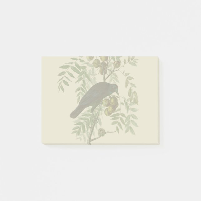 Audubon American Kråka Black Bird Post-it Block (Framsida)