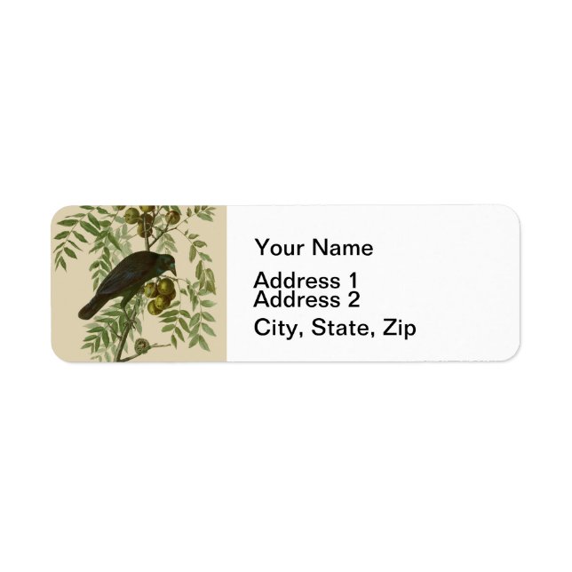Audubon American Kråka Black Bird Returadress Etikett (Framsidan)
