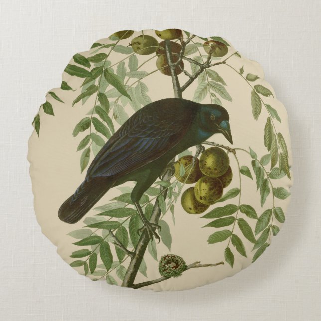 Audubon American Kråka Black Bird Rund Kudde (Framsidan)