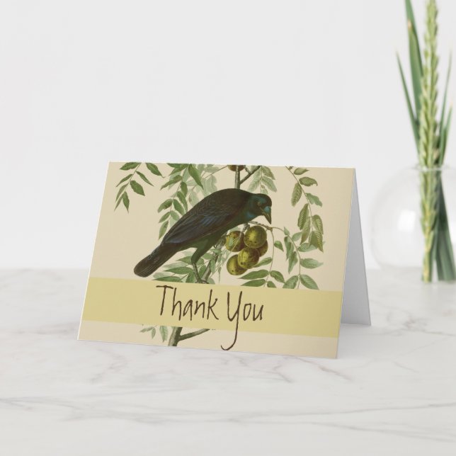 Audubon American Kråka Black Bird Tack Kort (Framsida)