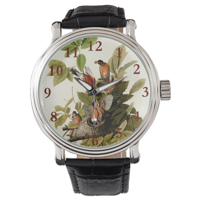 Audubon American Robin Wildlife Bird Illustration Armbandsur (Framsida)