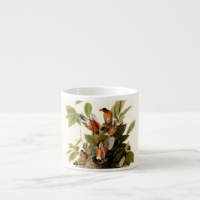 Audubon American Robin Wildlife Bird Illustration Espressomugg (Framsidan)