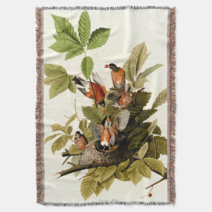 Audubon American Robin Wildlife Bird Illustration Filt