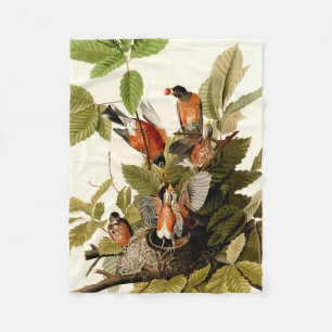 Audubon American Robin Wildlife Bird Illustration Fleecefilt