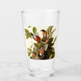 Audubon American Robin Wildlife Bird Illustration Glaskopp