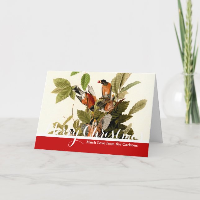 Audubon American Robin Wildlife Bird Illustration Helgkort (Framsida)