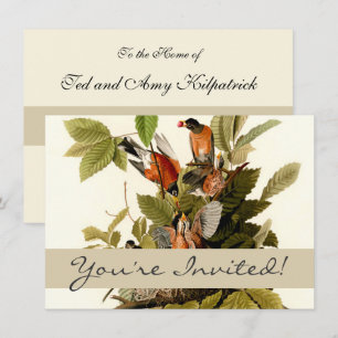 Audubon American Robin Wildlife Bird Illustration Inbjudningar