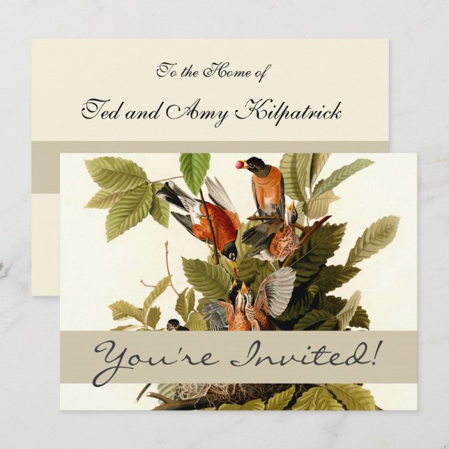 Audubon American Robin Wildlife Bird Illustration Inbjudningar (Fram/baksida)