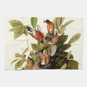 Audubon American Robin Wildlife Bird Illustration Kökshandduk