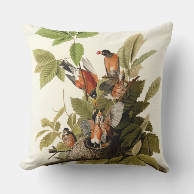 Audubon American Robin Wildlife Bird Illustration Kudde (Framsida)
