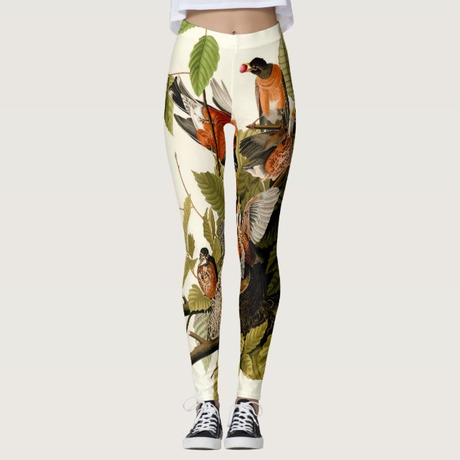 Audubon American Robin Wildlife Bird Illustration Leggings (Framsida)
