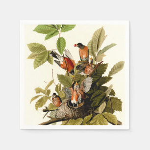 Audubon American Robin Wildlife Bird Illustration Pappersservett