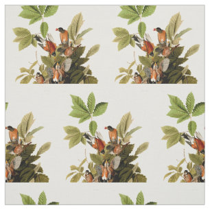 Audubon American Robin Wildlife Bird Illustration Tyg