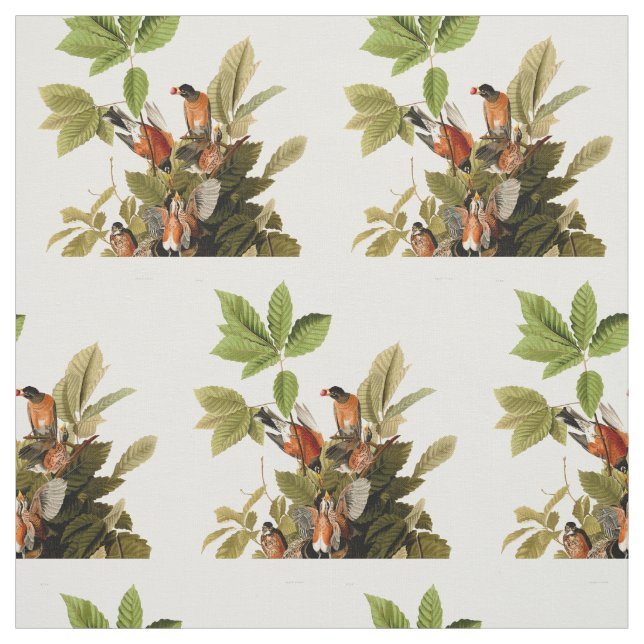 Audubon American Robin Wildlife Bird Illustration Tyg (Provkarta)