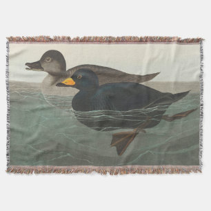 Audubon American Scoter Anka Classic Filt