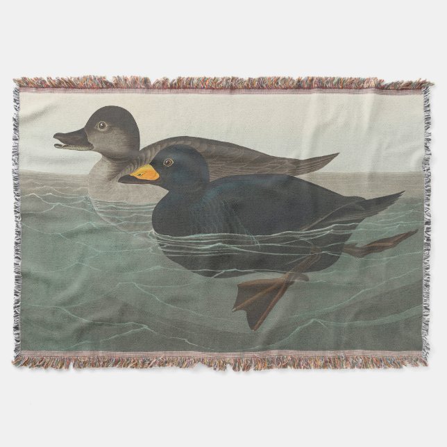 Audubon American Scoter Anka Classic Filt (Framsidan)