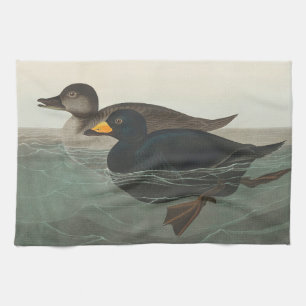Audubon American Scoter Anka Classic Kökshandduk