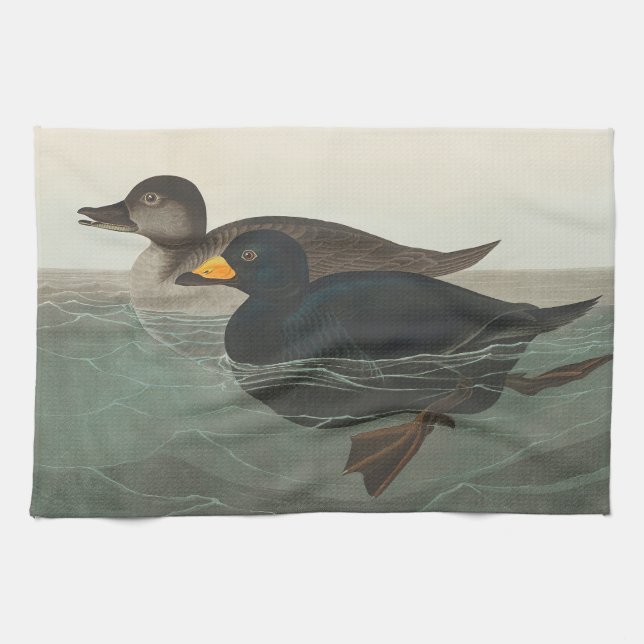 Audubon American Scoter Anka Classic Kökshandduk (Horisontell)