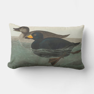 Audubon American Scoter Anka Classic Lumbarkudde