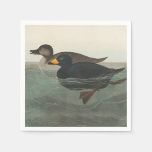 Audubon American Scoter Anka Classic Pappersservett