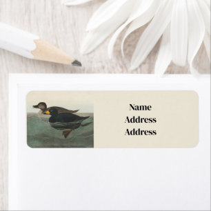 Audubon American Scoter Anka Classic Returadress Etikett