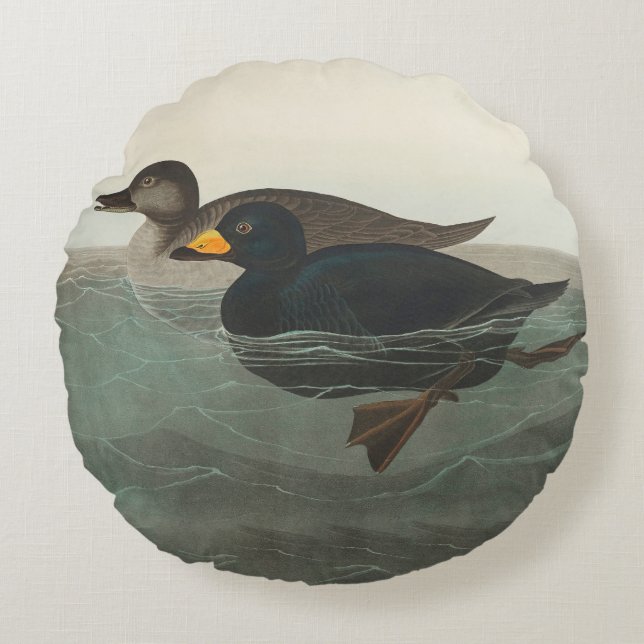 Audubon American Scoter Anka Classic Rund Kudde (Framsidan)