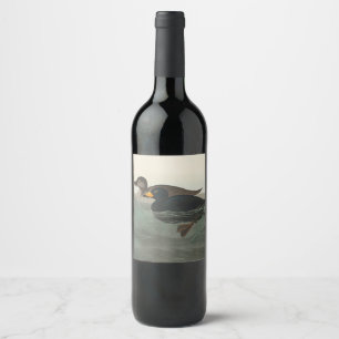 Audubon American Scoter Anka Classic Vinflaska Etikett