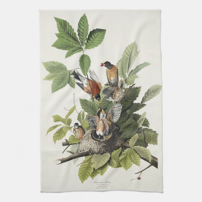 Audubon American Vår Robin Bird Illustration Kökshandduk (Vertikal)