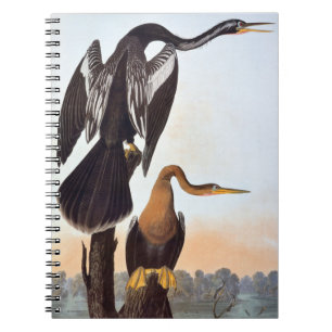 Audubon: Anhinga Anteckningsbok