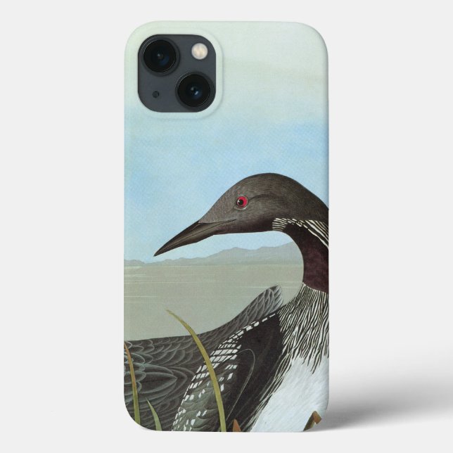 Audubon: Arktisk Loon (Baksida)