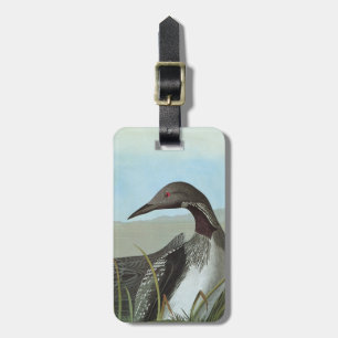 Audubon: Arktisk Loon Bagagebricka