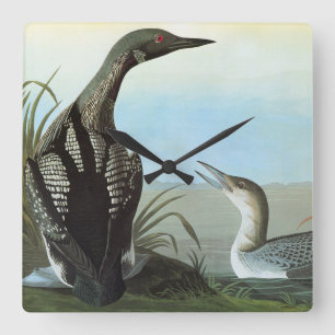 Audubon: Arktisk Loon Fyrkantig Klocka