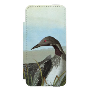 Audubon: Arktisk Loon