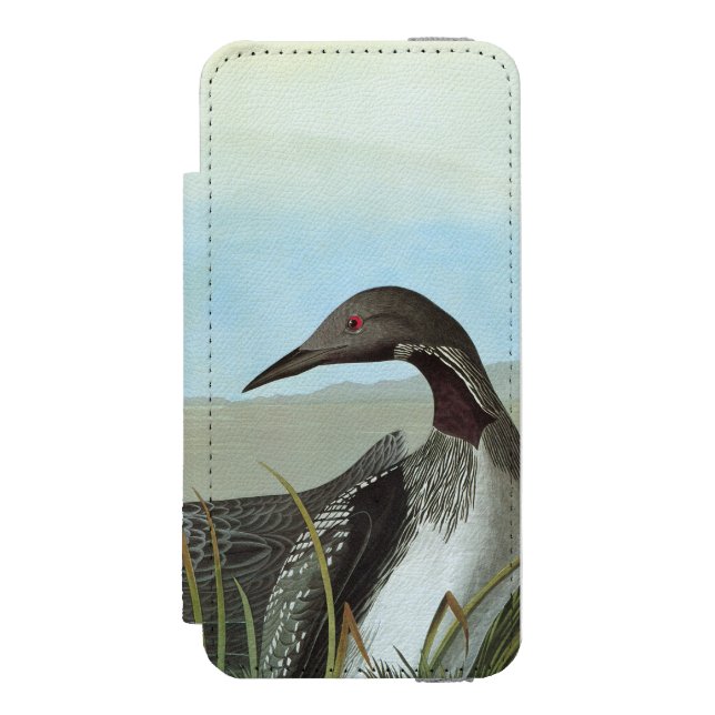 Audubon: Arktisk Loon Incipio iPhone Wallet Skal (Folio Framsidan)