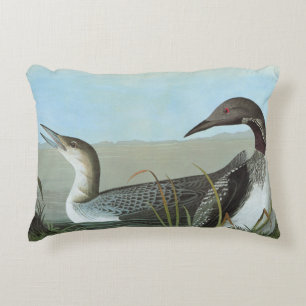 Audubon: Arktisk Loon Prydnadskudde