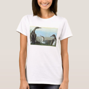 Audubon: Arktisk Loon T-shirt