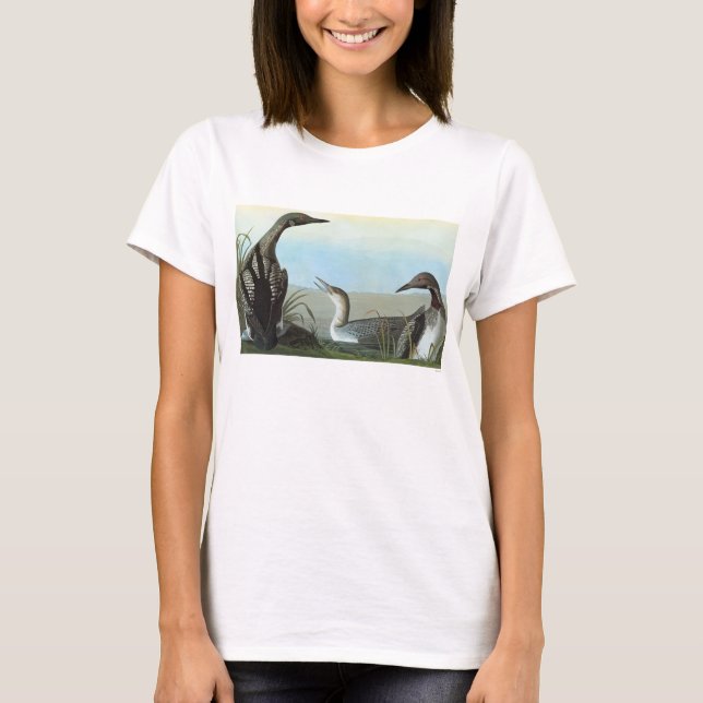 Audubon: Arktisk Loon T-shirt (Framsida)