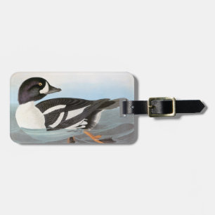 Audubon: Barrows Goldeneye Bagagebricka